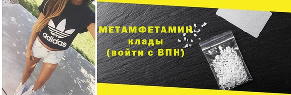 прущие грибы Елабуга