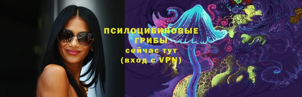 скорость Абаза