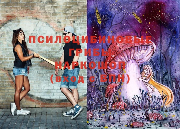гашик Абинск